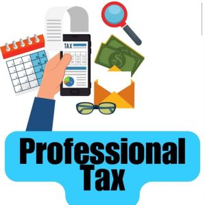 Professional Tax Registration Service