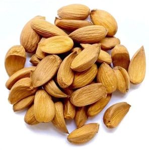 Mamra Almond