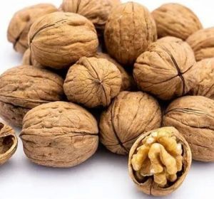 Shelled Walnuts For Oil, Human Consumption