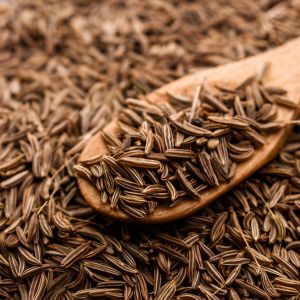 Cumin Seeds Singapore 1% (new Crop 2024)