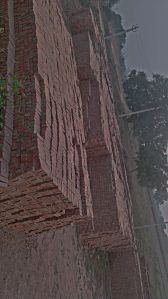 Red Clay Bricks, Shape : Rectangular, Packaging Type : Pallets