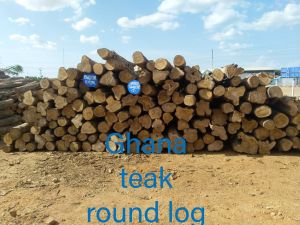 Ghana Teak