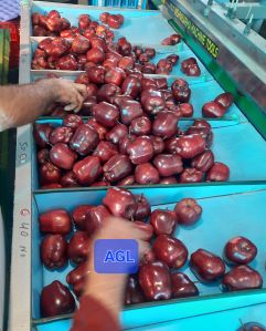 Apple Fruit