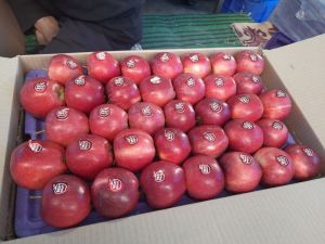 Fresh Red Royal Gala Apples