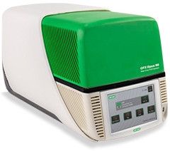 CFX Opus 96 Real-Time PCR System