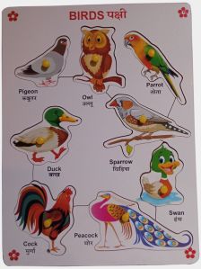 TE-35 Multicolor Wooden Birds Puzzle