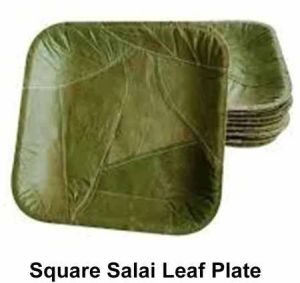 Square Siali Leaf Plates