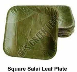 Square Siali Leaf Plates For Serving Food