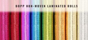 BOPP Laminated Non Woven Fabric