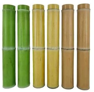 Green Bamboo Pole, Grade : One Piece