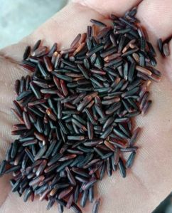 Organic Black Rice