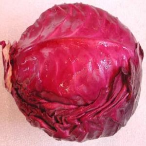 Fresh Red Cabbage For Cooking