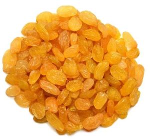 Golden Raisins