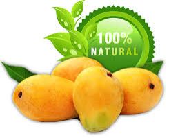 Gir Kesari Natural Kesar Mango, Color : Yellow, Packaging Size : 10 Kg