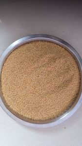 Fine Processed Natural Foxtail Millet Seeds, Color : Yellow Dried