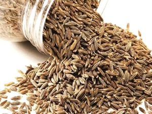 Raw Cumin Seeds, Color : Brown, Grade Standard : Food Grade, Packaging Type : PP Bag