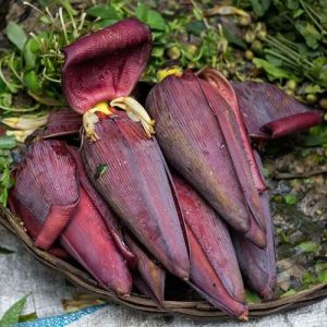 Fresh Banana Flower