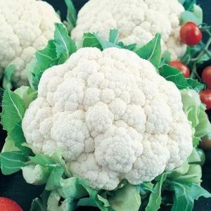 Fresh Cauliflower, Form : Whole, Packaging Type : PP Bag, Packaging Size : 5-10kg