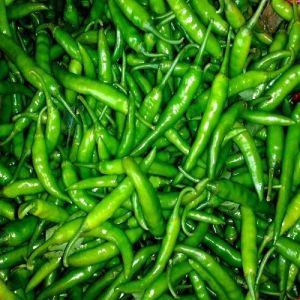 Fresh Green Chilli, Packaging Size : 5-10kg, Packaging Type : PP Bag For Cooking