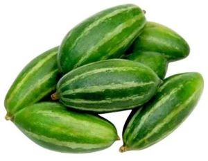 Fresh Pointed Gourd, Color : Green, Packaging Type : PP Bag, Packaging Size : 5-25kg