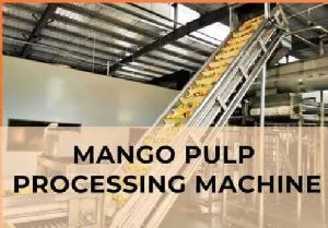 Mango Pulp Processing Plant, Automation Grade : Semi-automatic