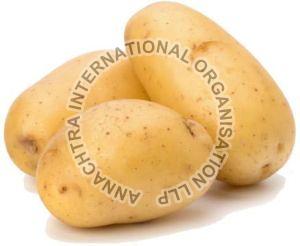 Fresh Potato, Color : Yellow