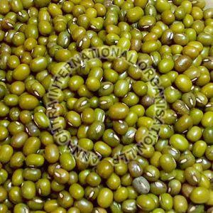 Natural Green Moong Dal, For Cooking, Packaging Type : Plastic Pouch