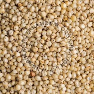 Natural Jowar Seeds, For Cattle Feed, Cooking, Packaging Size : 25kg, 50kg