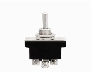 10 AMP Spdt Toggle Switch