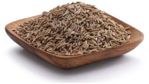 Cumin - European Seeds