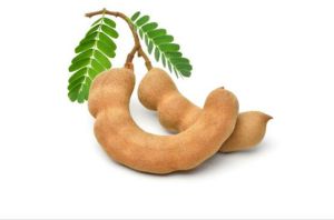 Tamarind