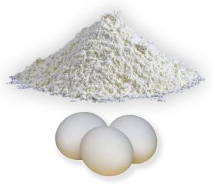 Eggshell Powder 99%, Packaging Size : 10 Kg, Packaging Type : Bag