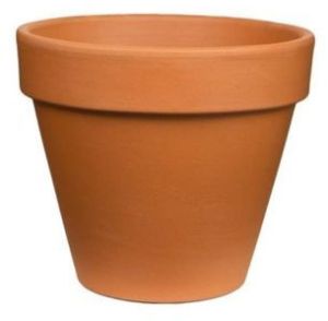 Terracotta Pot