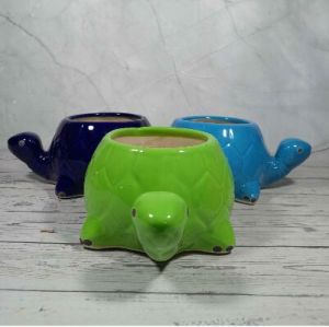 Animal Shape Pot  Color Cmn Turtle