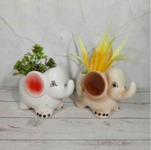 Animal Shape Pot  Spray Big Baby Elephent