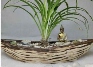 Bonsai Pots  Big Puchai Ship