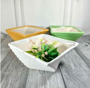 Bonsai Pots  Sq Lining Tray