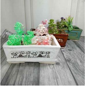 Bonsai Pots  Straight Rec Tray