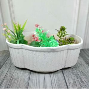 Bonsai Pots  Zik Zak Bonsai