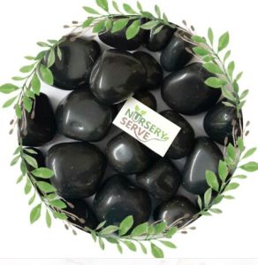 Decorative Black Big Polished Pebble Stone