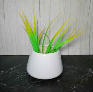 White Base Pyala Pots