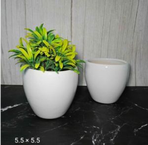 Only White Pots  White Big Apple