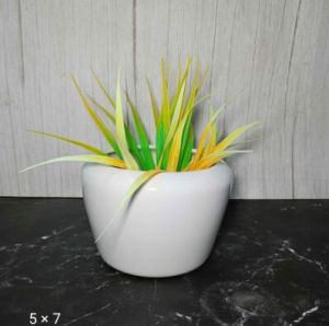 Only White Pots  White Border Bowl