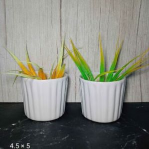 Only White Pots  White Lining Tall Pot