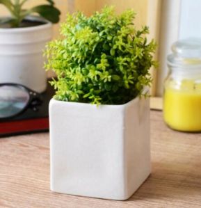 White Med Square Pots