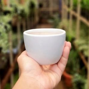 Only White Pots  White Mini Egg