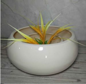 Set Of Pots  Flat Bonsai 2 Pcs Set