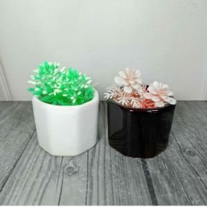 Small Indoor Pots  Mini Wall