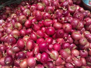 Red Onion