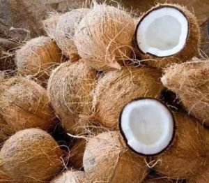 Organic Hard Dry Semi Husked Coconut, Color : Brown For Pooja, Medicines, Cosmetics, Cooking